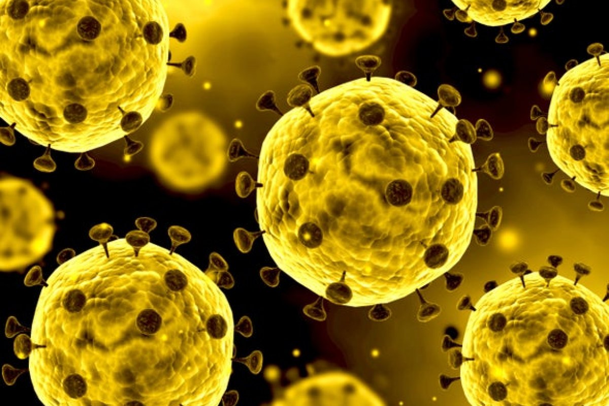 [Estudo de anticorpos indica desaceleração da epidemia de coronavírus na maior parte do Brasil]