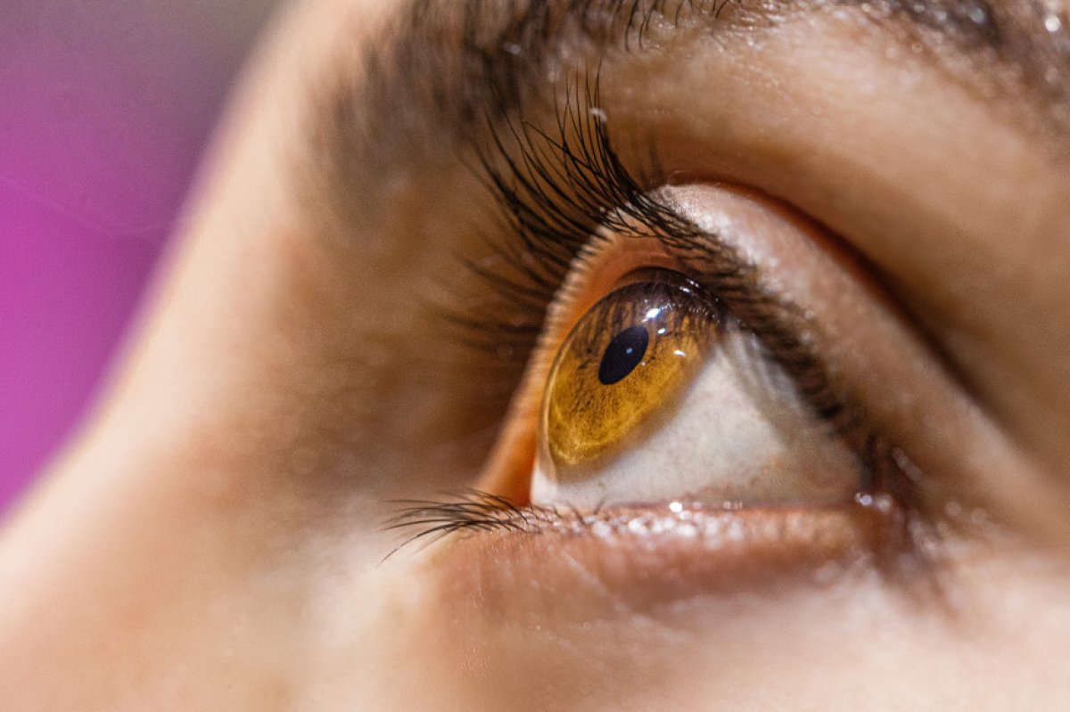 [Saúde dos olhos: quase 35% dos brasileiros nunca foram ao oftalmologista! ]