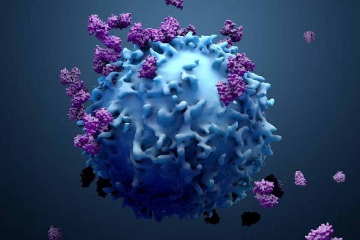 [Pesquisadores brasileiros descobrem molécula que pode contribuir no combate ao câncer]