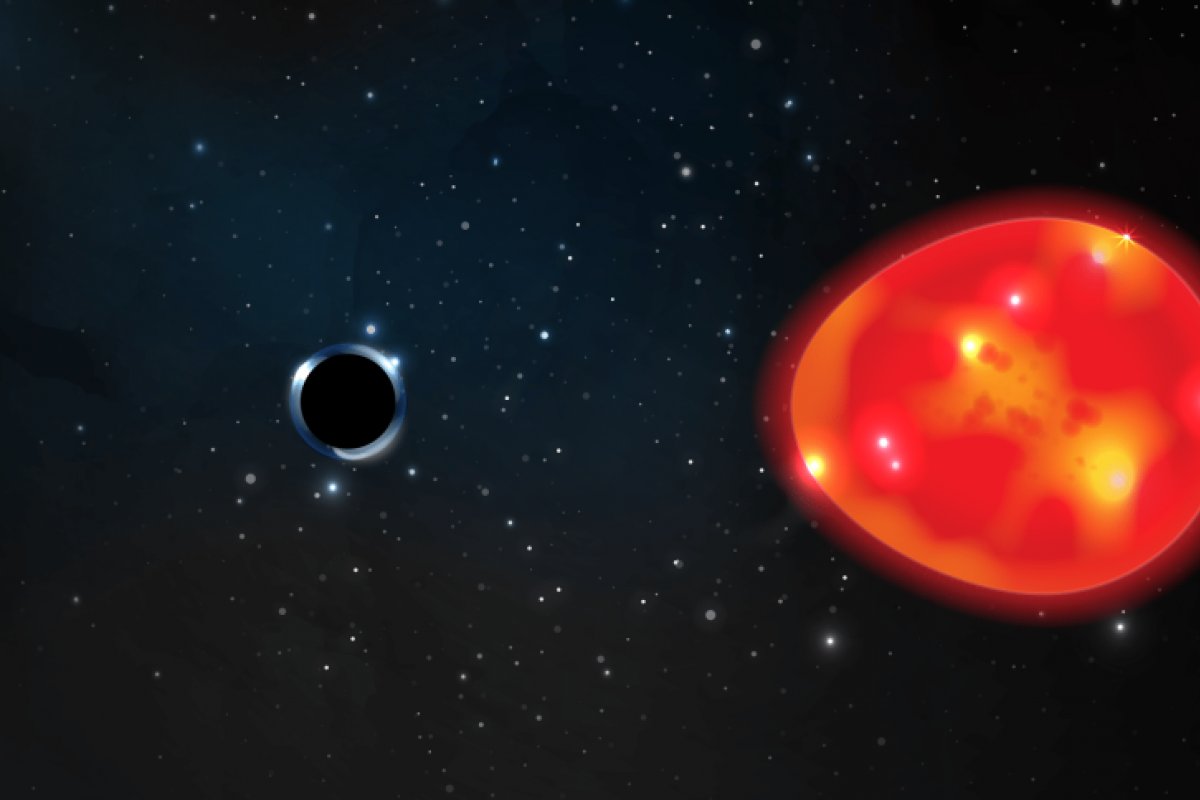 [Cientistas da Nova Zelândia descobrem primeiro buraco negro ‘isolado’]