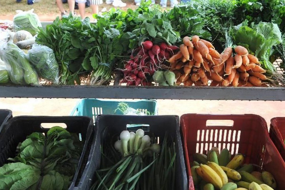 [Inflação 2022: Frutas, verduras e legumes assumem o posto de vilões]