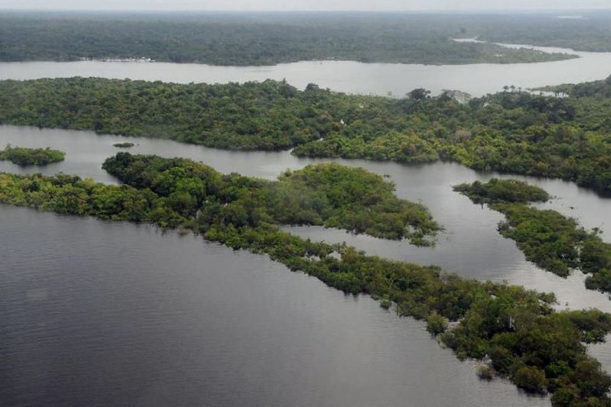 [Desmatamento cai 15% em março, mas Amazônia tem pior 1º trimestre da série histórica]