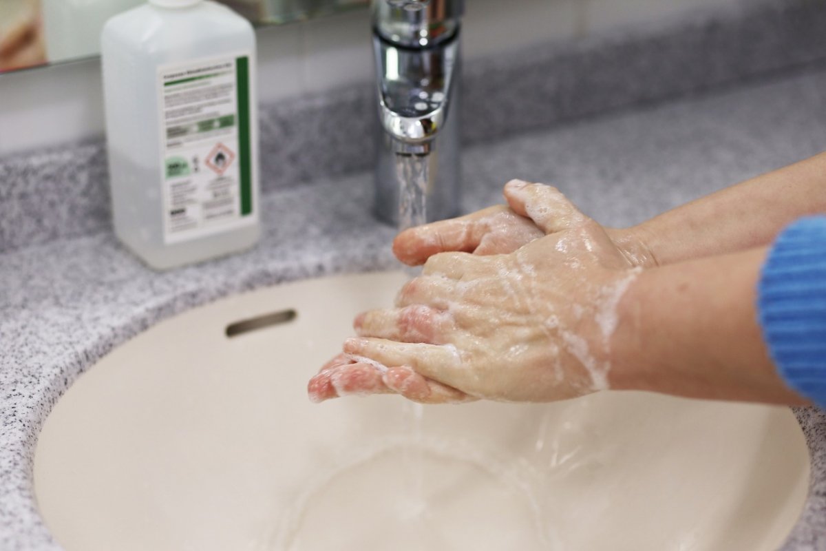 [Dia Mundial de Higienização as Mãos]