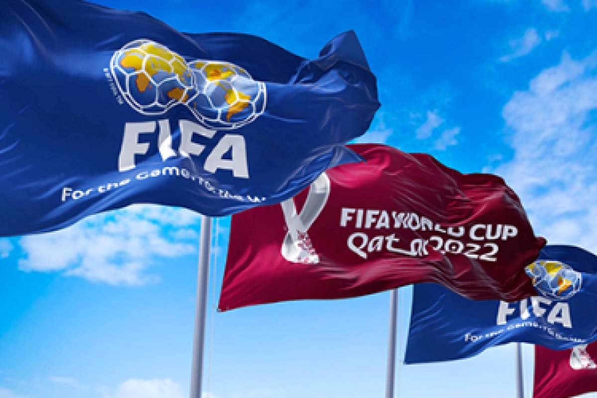 FIFA+ vai transmitir todos os jogos da Copa do Mundo 2022 ao vivo e de  graça - Esportes