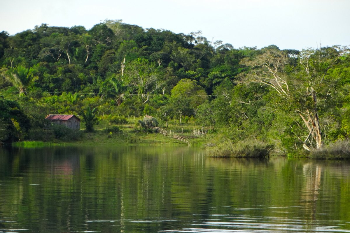 [Ex-ministro do Meio Ambiente afirma que Fundo Amazônia pode obter US$ 80 bi em 2 anos]