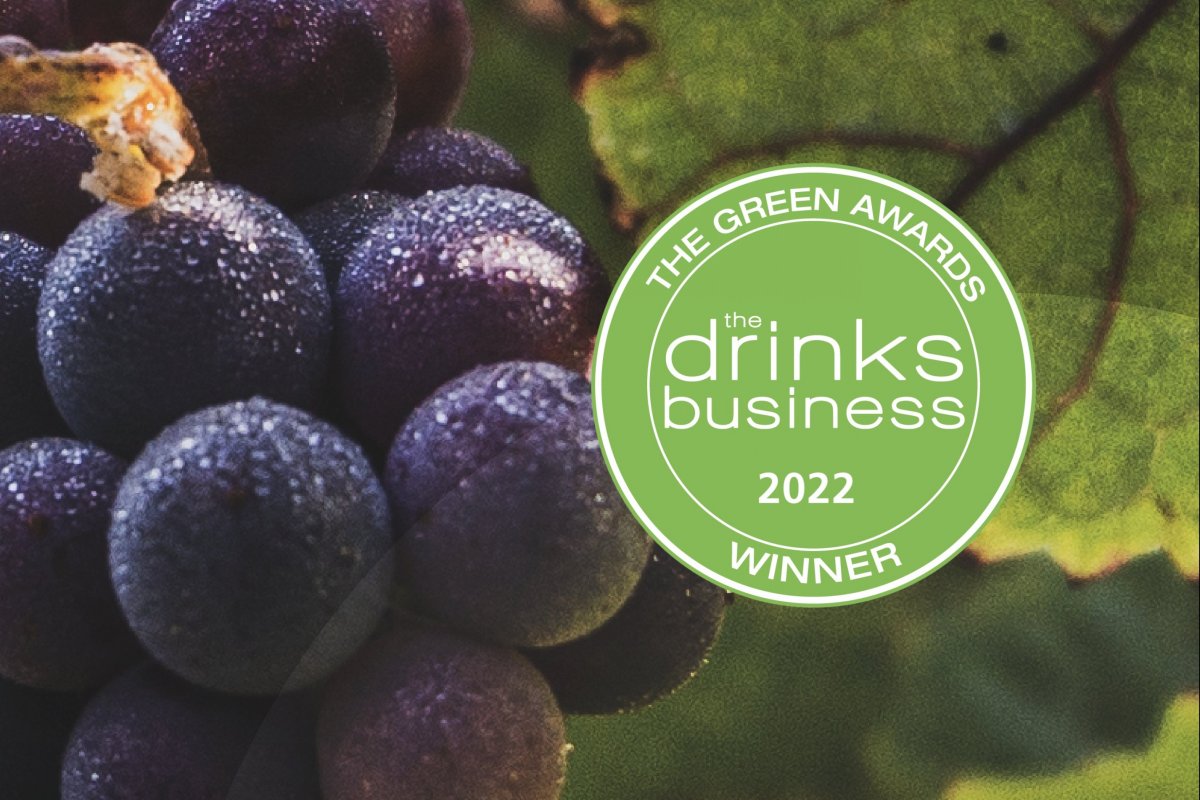 [Concha y Toro e Bonterra Organic Estates terminam ano com prêmios no The Drinks Business Green Awards 2022! ]