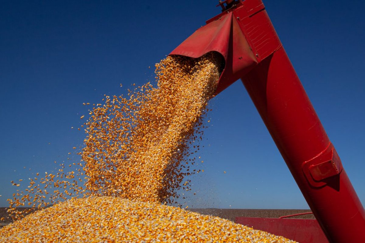 [Acumulado da exportação de milho do Brasil dispara na 2ª semana de fevereiro e já supera total do mesmo mês de 2022]