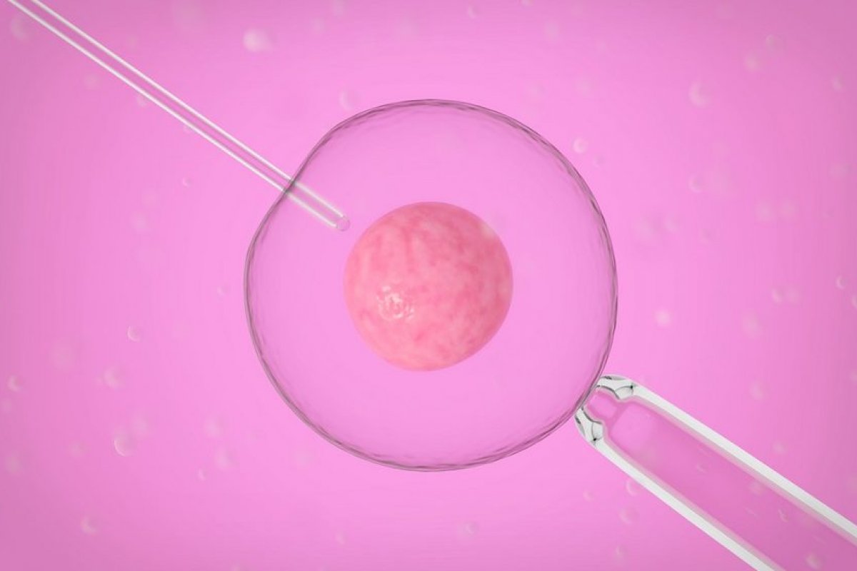 [Cientistas criam embriões sintéticos de humanos em laboratório utilizando células-tronco]