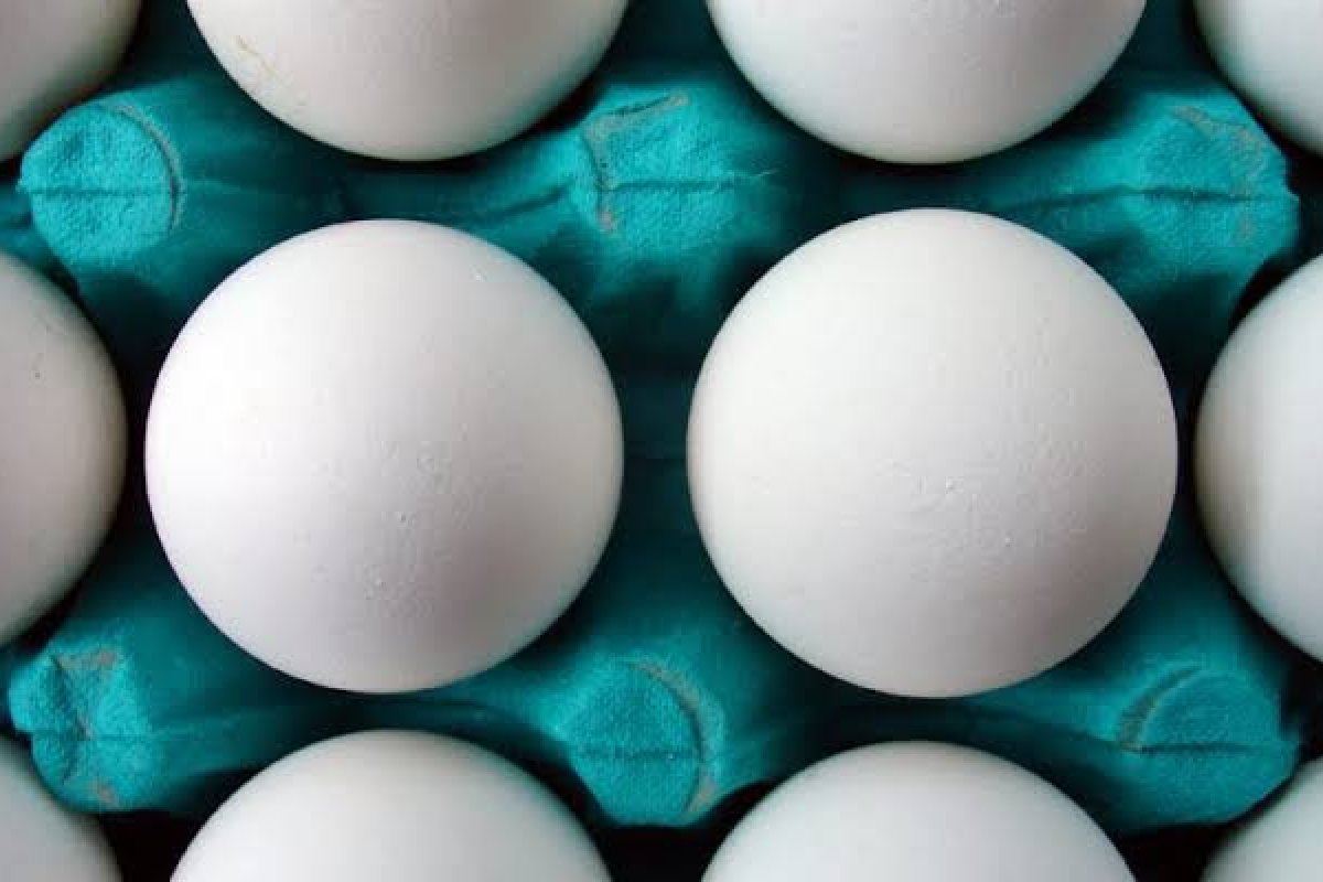 [Preço do ovo de galinha registra alta de mais de 20% em 12 meses]