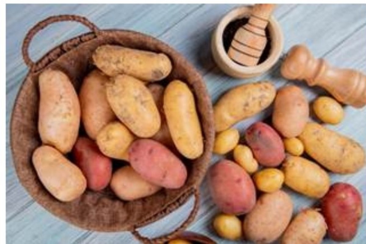 [Você conhece todos os tipos de batata? Veja quais são e como utilizá-las na cozinha! ]