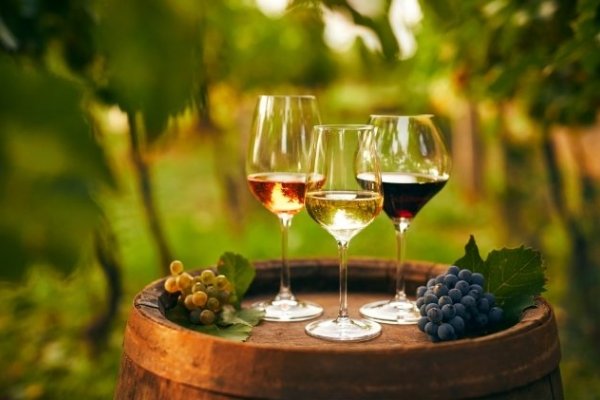[Com mais de 500 anos de tradição, saiba por que o Brasil possui uma história única no cultivo de vinhos! ]