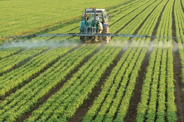 [Ministério da Agricultura terá exclusividade na análise de liberação de pesticidas após derrubada de veto presidencial]