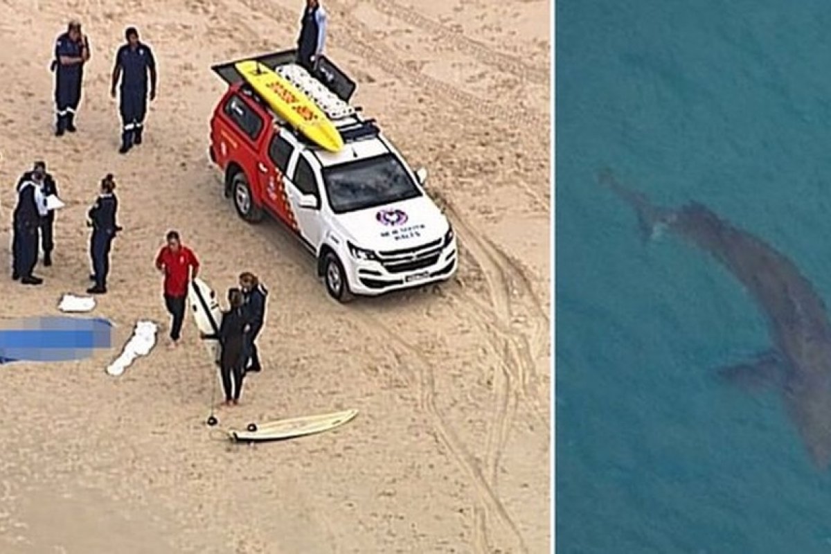 [Idoso morre após ser atacado por um tubarão branco na Austrália]