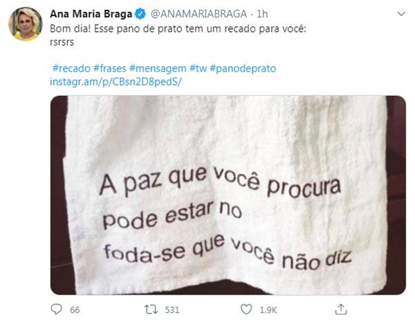 Cheia de humor, Ana Maria Braga diverte seguidores no Twitter - Michel  Telles | Farol da Bahia