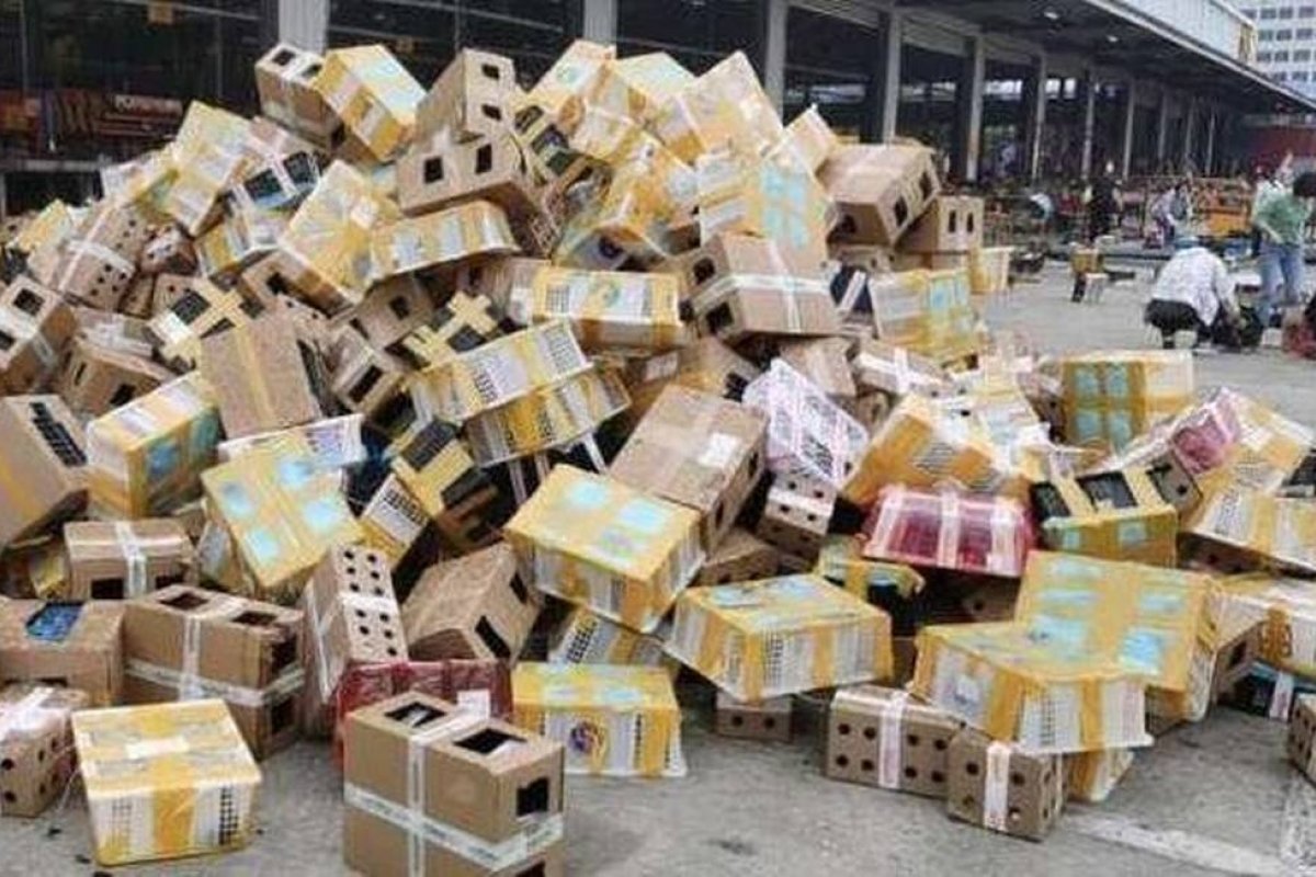 [Cinco mil animais de estimação são encontrados mortos em caixas de papelão na China]