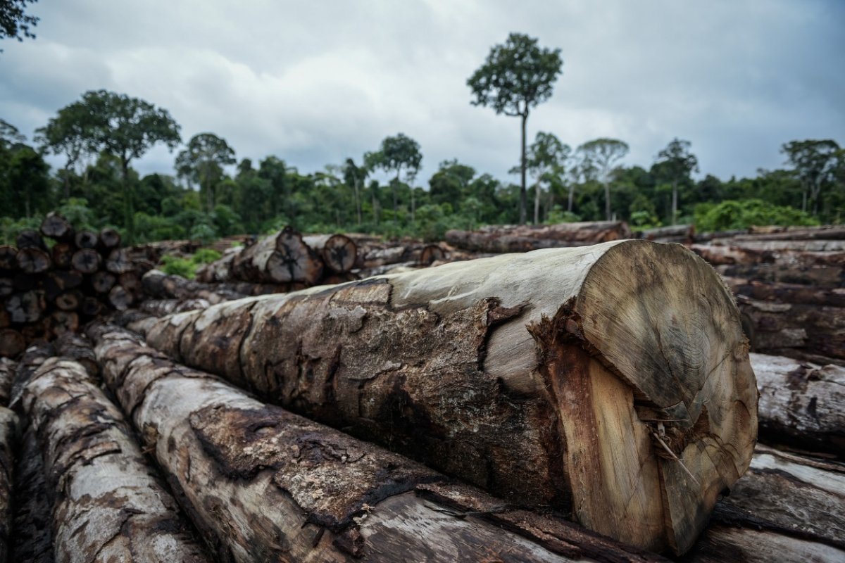 [Novos dados sobre desmatamento no Brasil devem ser divulgados hoje, avisa presidente]