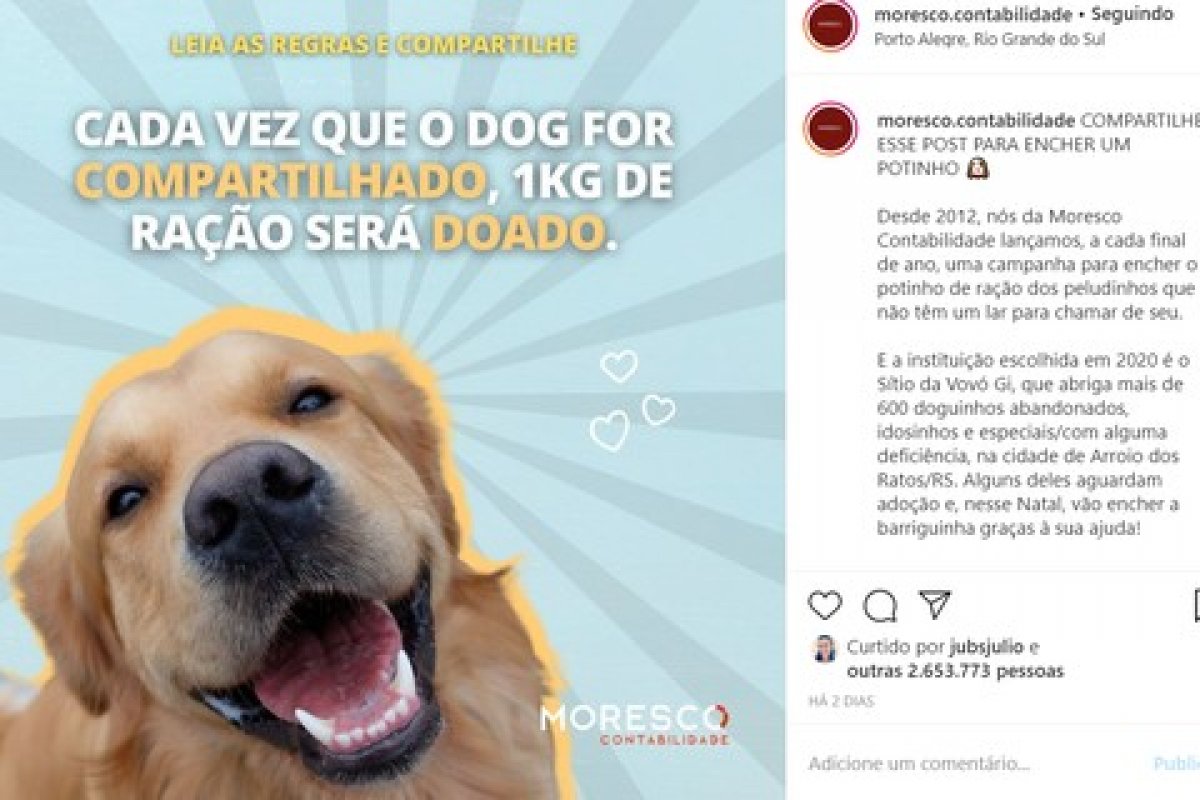 [Campanha de marketing para ajudar cães viraliza nas redes sociais neste fim de semana]