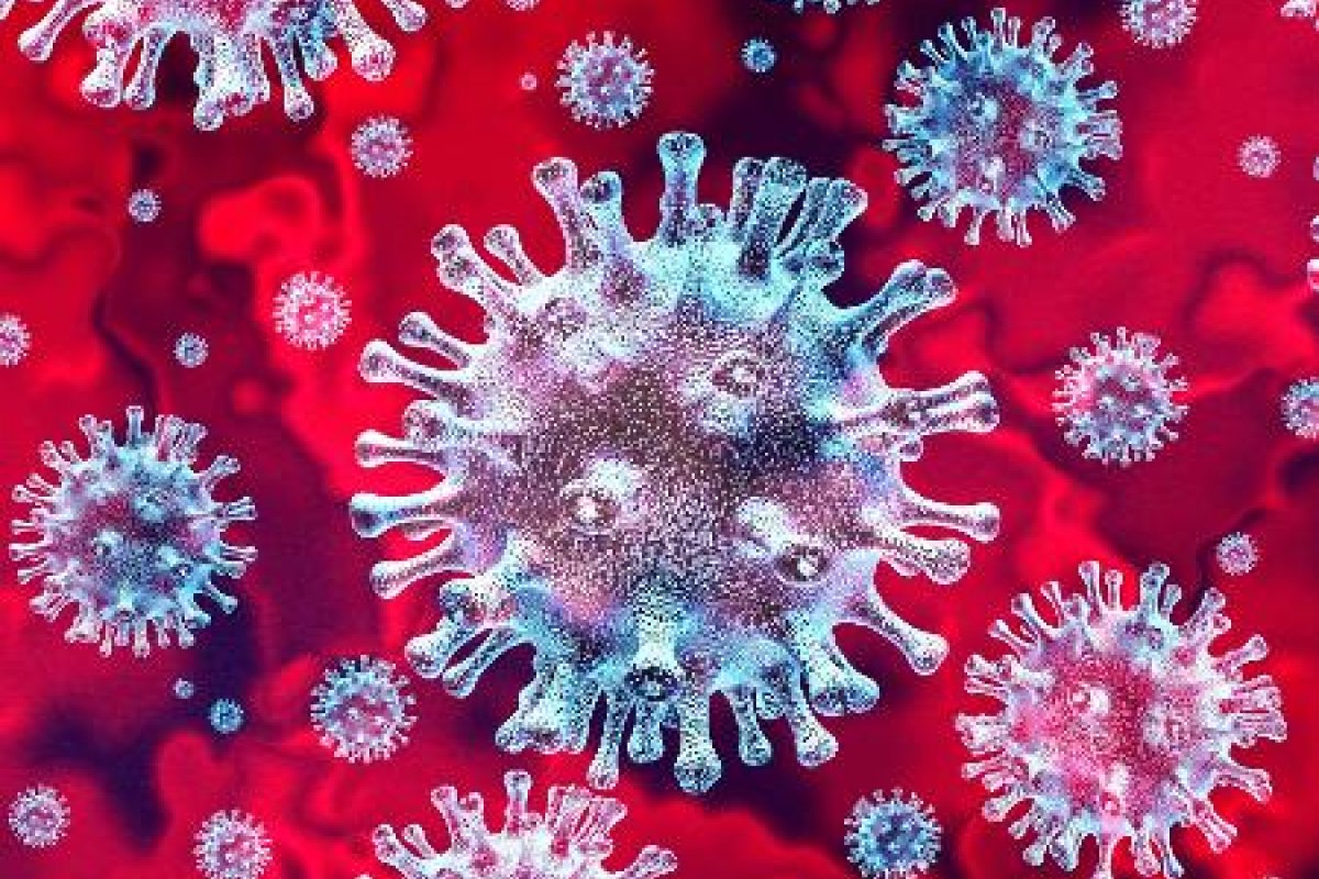 [Estudo aponta fortalecimento de anticorpos seis meses após infecção por coronavírus ]