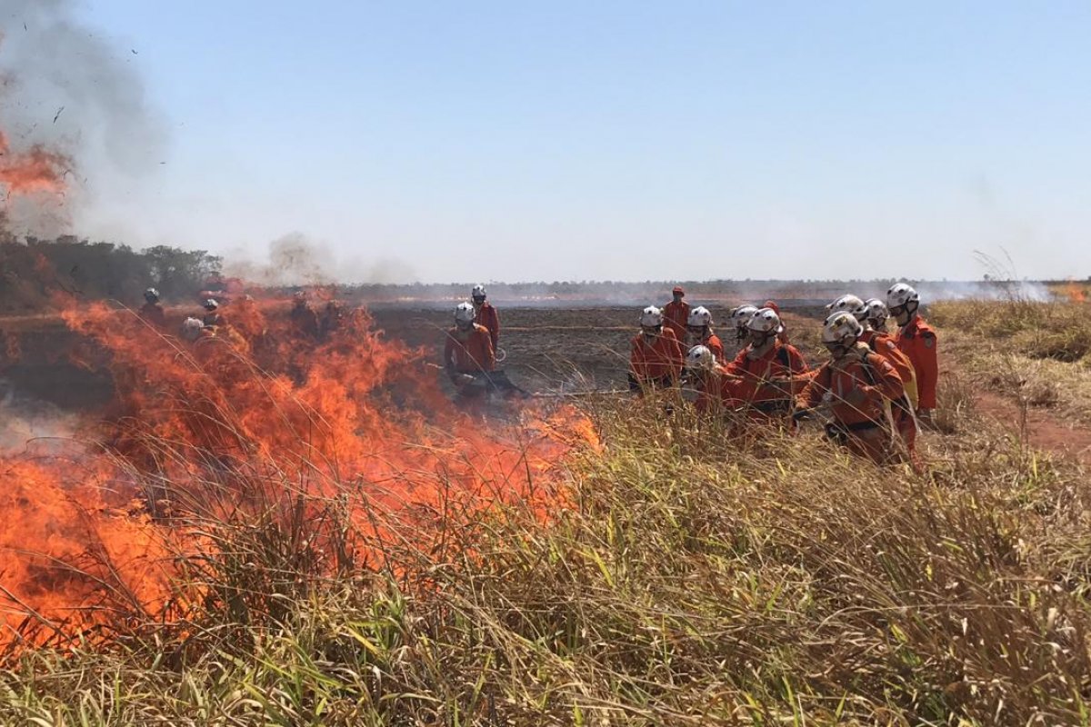 [Bombeiros realizam curso para prevenção de incêndios florestais em município baiano]