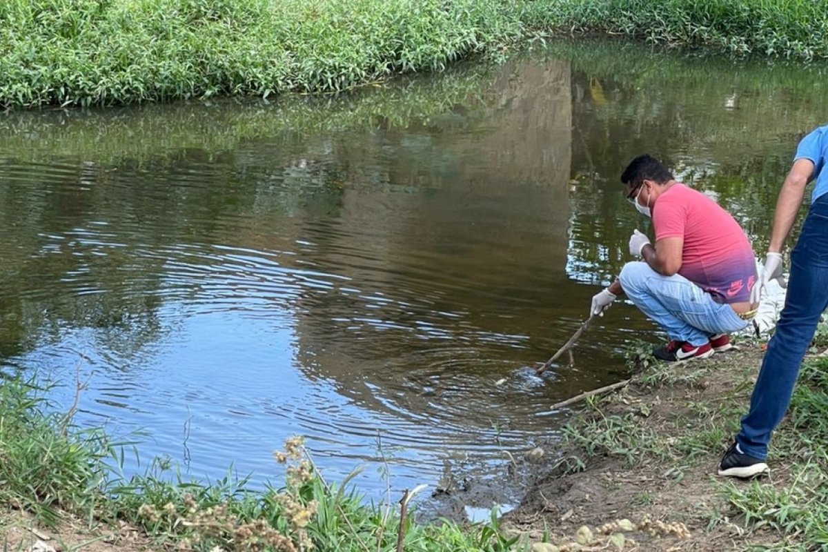 [Pescaria é proibida em rio do sudoeste da Bahia após surgimento de lama e 100 mil peixes mortos]