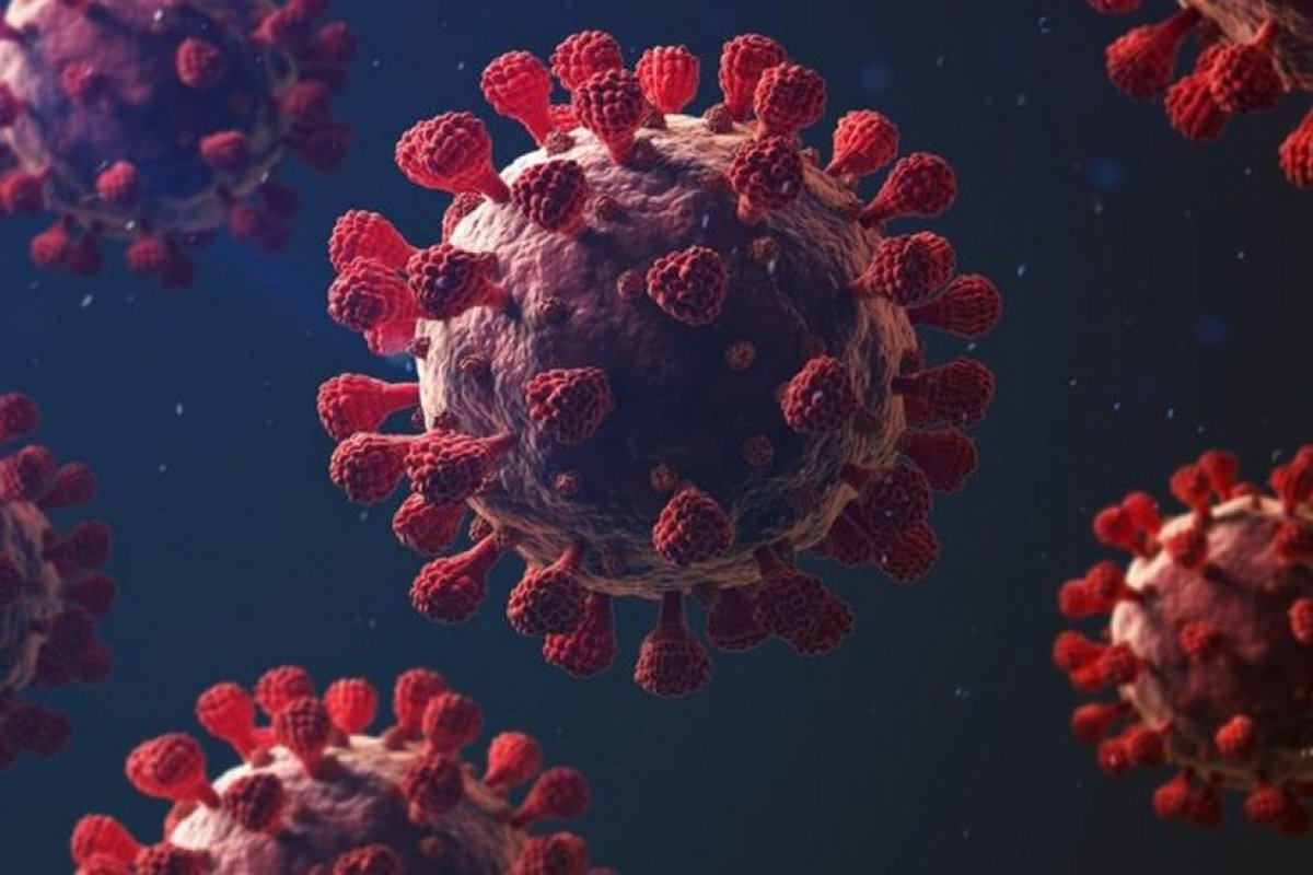 [Brasil foi polo para mutações do novo coronavírus no mundo, diz estudo ]